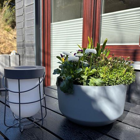 Dein Winterberg Apartment - Wifi Geschirrspueler Smart Tv Szoba fotó